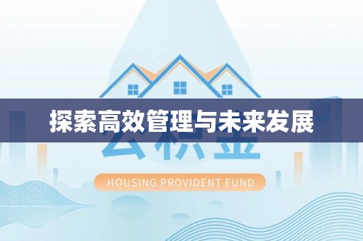 旌德探索高效管理与未来发展