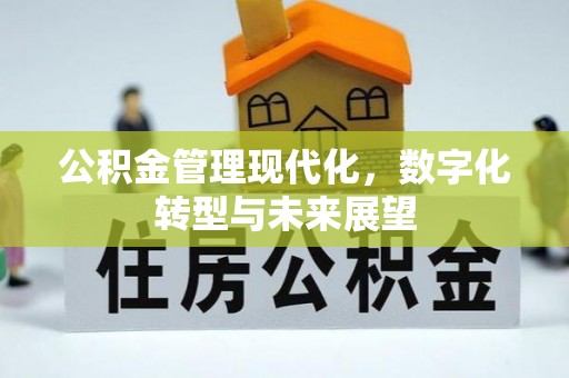 旌德公积金管理现代化，数字化转型与未来展望
