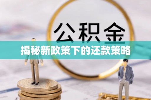 旌德揭秘新政策下的还款策略