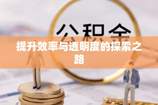 旌德提升效率与透明度的探索之路