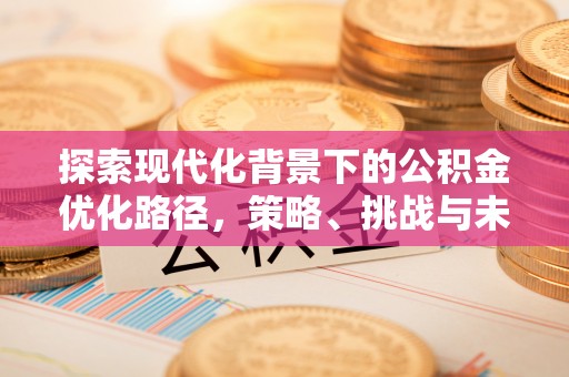 旌德探索现代化背景下的公积金优化路径，策略、挑战与未来展望