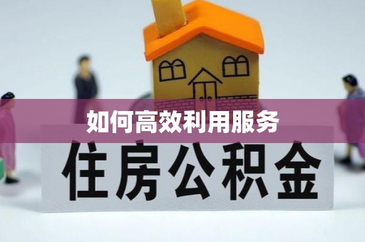 旌德如何高效利用服务