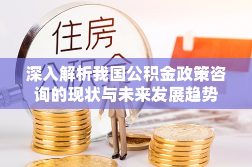 旌德深入解析我国公积金政策咨询的现状与未来发展趋势