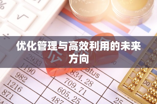 旌德优化管理与高效利用的未来方向