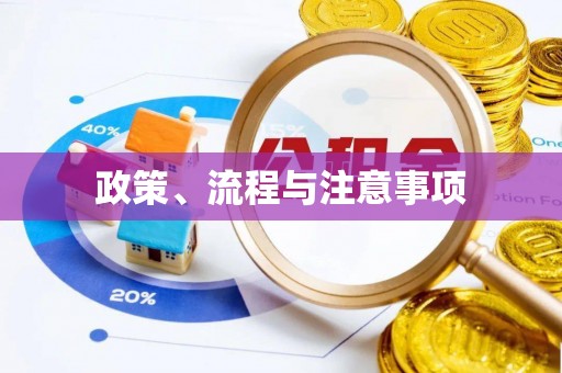 旌德政策、流程与注意事项