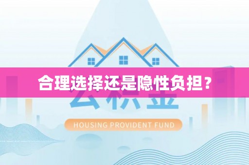 旌德合理选择还是隐性负担？