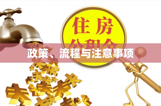 旌德政策、流程与注意事项