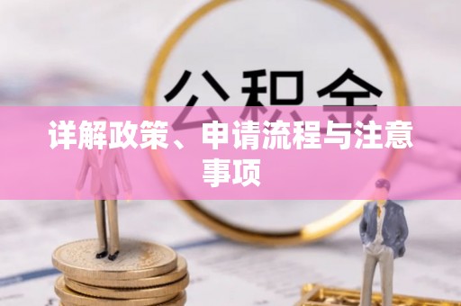 旌德详解政策、申请流程与注意事项