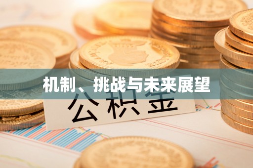 旌德机制、挑战与未来展望